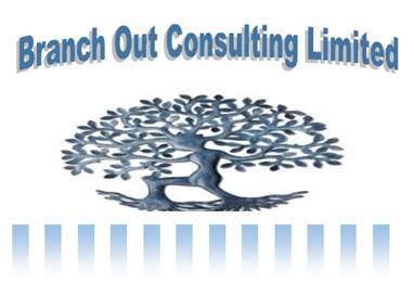 Branch Out Consulting